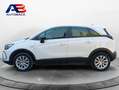 Opel Crossland 1.5D S&S Business Elegance 120 Aut. Blanco - thumbnail 4