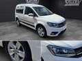 Volkswagen Caddy 2.0TDI Comfortline DSG 110kW Blanco - thumbnail 18