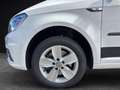 Volkswagen Caddy 2.0TDI Comfortline DSG 110kW Blanco - thumbnail 17
