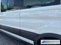 Ford Transit Kombi 350 L3 Trend 2.2 TDCi DPF *1465 *KLIMA *EXPO Bianco - thumbnail 10