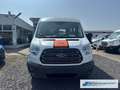 Ford Transit Kombi 350 L3 Trend 2.2 TDCi DPF *1465 *KLIMA *EXPO Bianco - thumbnail 5
