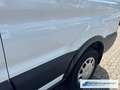 Ford Transit Kombi 350 L3 Trend 2.2 TDCi DPF *1465 *KLIMA *EXPO Bianco - thumbnail 13