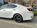Lexus IS 220d IS 220 d Sport Pack Weiß - thumbnail 8