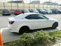 Lexus IS 220d IS 220 d Sport Pack Weiß - thumbnail 4