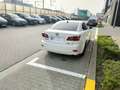 Lexus IS 220d IS 220 d Sport Pack Weiß - thumbnail 5