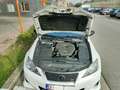 Lexus IS 220d IS 220 d Sport Pack Weiß - thumbnail 20