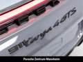 Porsche 992 911 Targa 4 GTS Matrix Burmester Lift 18-Wege Grau - thumbnail 34