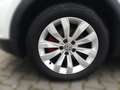 Volkswagen T-Roc 1.5 TSI ACT Sport Blanc - thumbnail 4