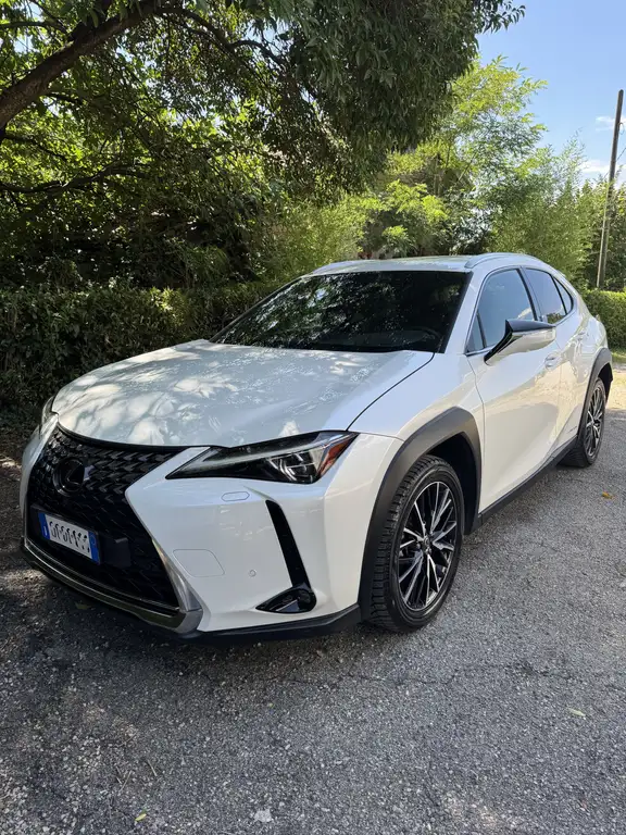 Lexus UX 250h 2019 из Европы — купить под ключ
