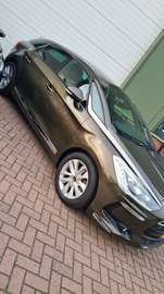 1.6 THP Business Executive