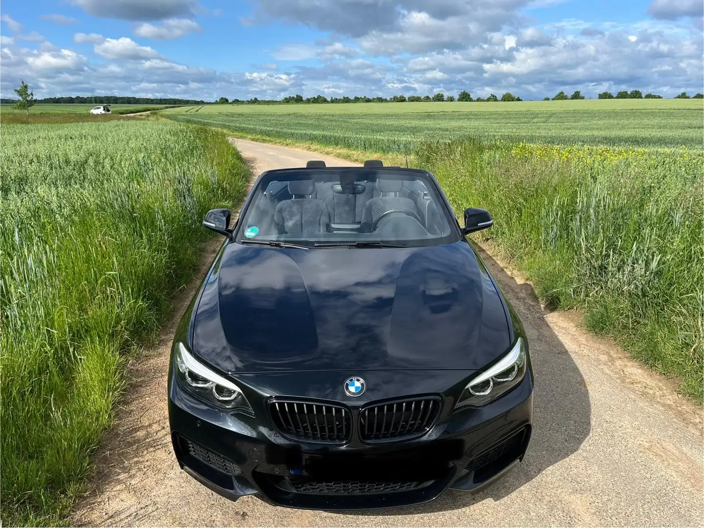 BMW 218 BMW 218i Cabrio, M Paket, Automatik, top gepflegt - 1