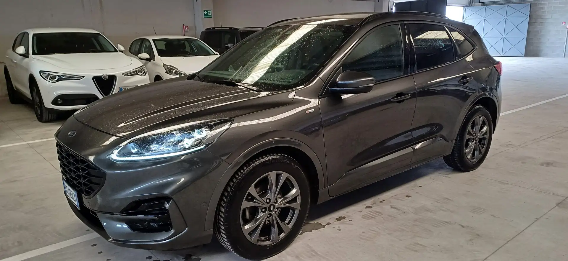 Ford Kuga Kuga 2.0 ecoblue mhev ST-Line X 2wd 150cv Grigio - 1