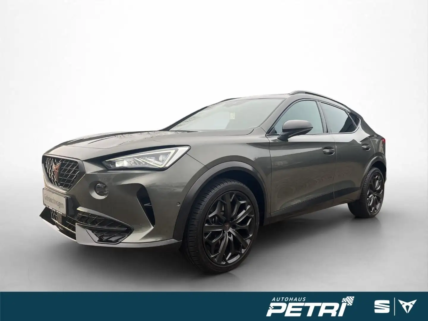CUPRA Formentor VZ Formentor VZ 2.0 TSi "Tribe Edition Grau - 1