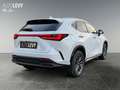 Lexus NX 450h+ NX 450h  E-Four + Business *NAVI*SHZ*LHZ*LM*360° Blanc - thumbnail 6