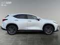 Lexus NX 450h+ NX 450h  E-Four + Business *NAVI*SHZ*LHZ*LM*360° Blanc - thumbnail 7