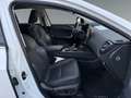 Lexus NX 450h+ NX 450h  E-Four + Business *NAVI*SHZ*LHZ*LM*360° Blanc - thumbnail 16