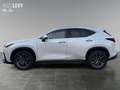 Lexus NX 450h+ NX 450h  E-Four + Business *NAVI*SHZ*LHZ*LM*360° Blanc - thumbnail 3
