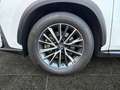 Lexus NX 450h+ NX 450h  E-Four + Business *NAVI*SHZ*LHZ*LM*360° Blanc - thumbnail 15