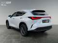 Lexus NX 450h+ NX 450h  E-Four + Business *NAVI*SHZ*LHZ*LM*360° Blanc - thumbnail 4