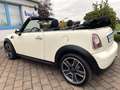 MINI Cooper Cabrio 17" Alu Scheckheft gepflegt Blanco - thumbnail 3