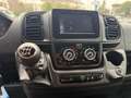 Fiat Ducato PANORAMA 9 POSTI - PREZZO ESPOSTO NETTO IVA Blanc - thumbnail 14