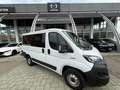 Fiat Ducato PANORAMA 9 POSTI - PREZZO ESPOSTO NETTO IVA Blanc - thumbnail 1
