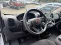 Fiat Ducato PANORAMA 9 POSTI - PREZZO ESPOSTO NETTO IVA Blanc - thumbnail 8