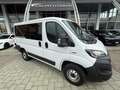 Fiat Ducato PANORAMA 9 POSTI - PREZZO ESPOSTO NETTO IVA Blanc - thumbnail 2
