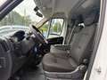Fiat Ducato PANORAMA 9 POSTI - PREZZO ESPOSTO NETTO IVA Blanc - thumbnail 7