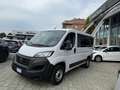 Fiat Ducato PANORAMA 9 POSTI - PREZZO ESPOSTO NETTO IVA Blanc - thumbnail 6