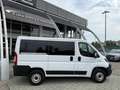 Fiat Ducato PANORAMA 9 POSTI - PREZZO ESPOSTO NETTO IVA Blanc - thumbnail 3