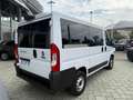 Fiat Ducato PANORAMA 9 POSTI - PREZZO ESPOSTO NETTO IVA Blanc - thumbnail 4
