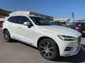 Volvo XC60 II D5 AWD AdBlue 235ch Inscription Luxe Geartronic Blanc - thumbnail 1
