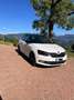 Skoda Fabia Ambition Bianco - thumbnail 3