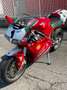 Ducati 748 superbike Rood - thumbnail 7