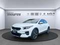 Kia XCeed 1.6 Plug-in Hybrid PHEV Vision Navi Klimaautom SHZ Wit - thumbnail 1