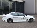 Kia Stinger GT 3.3 V6 Panorama-GD Bastuck Sportauspuffanlage Bianco - thumbnail 6