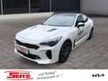 Kia Stinger GT 3.3 V6 Panorama-GD Bastuck Sportauspuffanlage Blanc - thumbnail 1