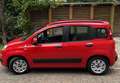 Fiat Panda III 2016 1.2 Lounge 69cv Rosso - thumbnail 12