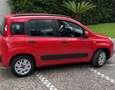 Fiat Panda III 2016 1.2 Lounge 69cv Rosso - thumbnail 3