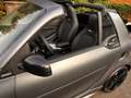 smart Smart BRABUS cabrio limitiertes SAMMLERSTÜCK Сірий - thumbnail 11