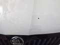 Skoda Fabia Ambition Monte-Carlo Wit - thumbnail 21