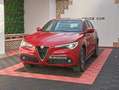 Alfa Romeo Stelvio Stelvio 2.2 Turbodiesel 190 CV AT8 Q4 Super Busin Rosso - thumbnail 6