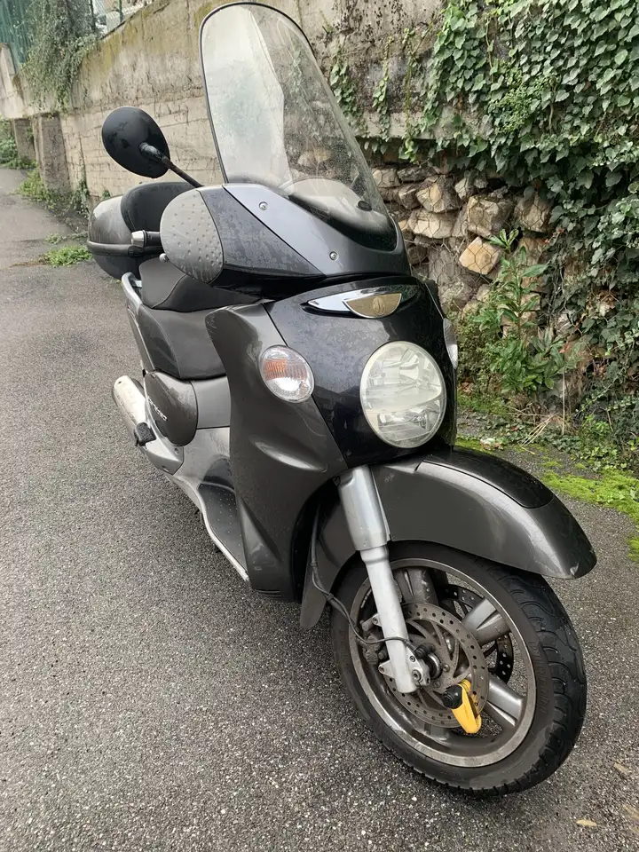 Scarabeo 500