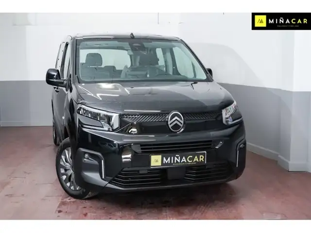 Citroen Berlingo view 2