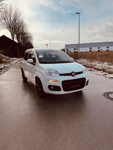 Fiat Panda Lounge Automatik PDC 23.000 km