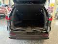 Lexus NX 450h+ Plug-in Executive Line LED, SHZ, 360°Kam Zwart - thumbnail 8
