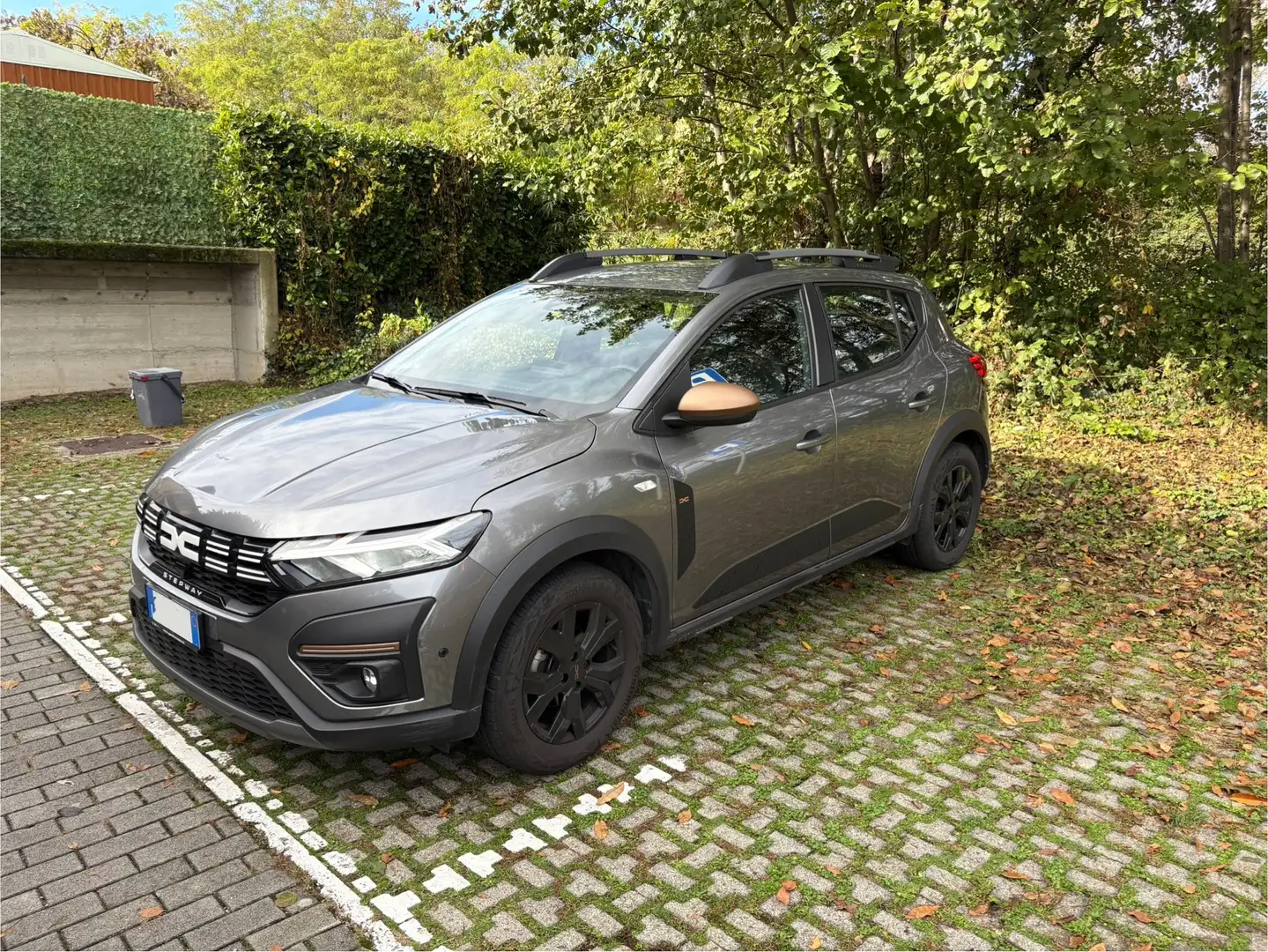 Dacia Sandero Stepway 1.0 tce Extreme Up Eco-g 100cv - 1