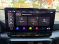CUPRA Formentor VZ 4Drive 2.0 TSI ACC TopView Pano Grigio - thumbnail 14
