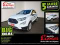 Ford EcoSport 1.0 EcoBoost Titanium AHK DynLicht Kam. Weiß - thumbnail 1